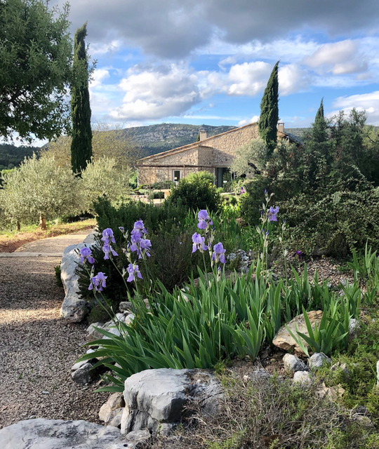 vue sur la maison avec iris au premier plan